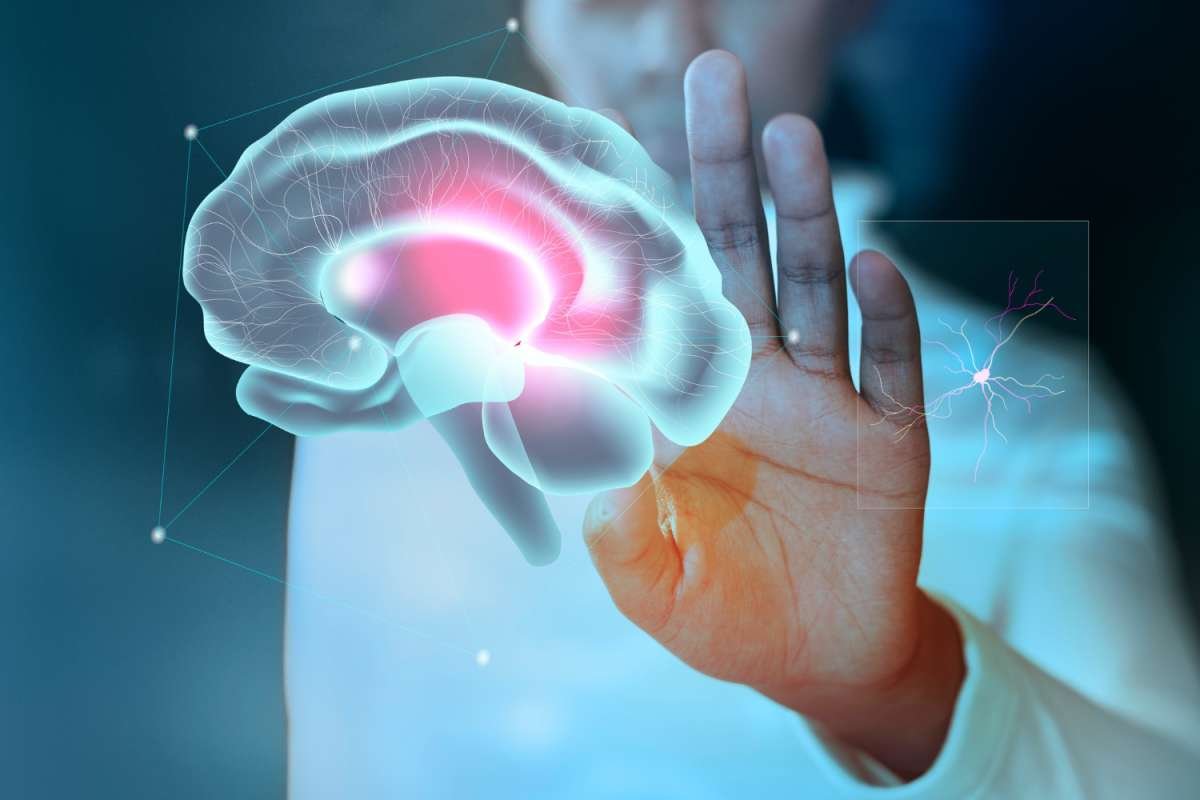 neurologie